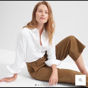 Everlane Wide Leg Pants in Oak